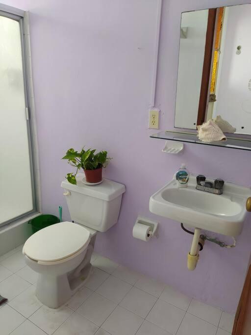 Coral Daire Cancún Dış mekan fotoğraf